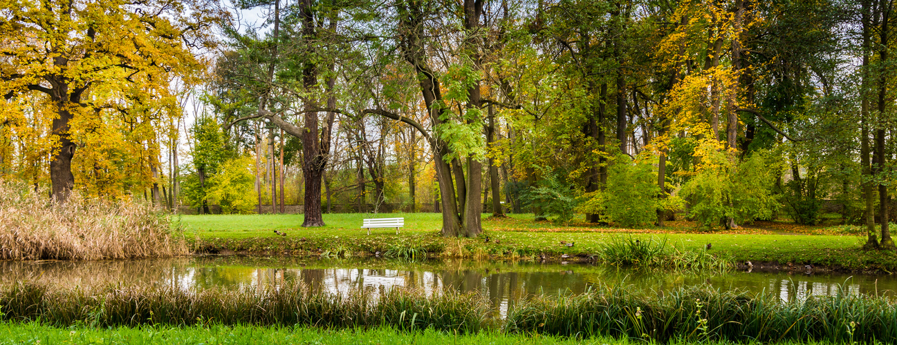 Ententeich im Schlosspark