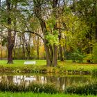 Ententeich im Schlosspark