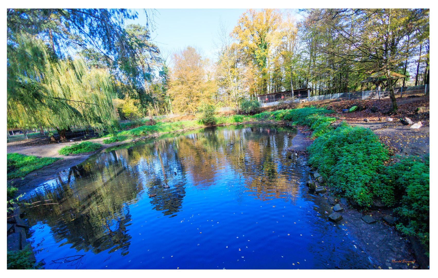Ententeich im Vogelpark Foto & Bild landschaft, bach, fluss & see