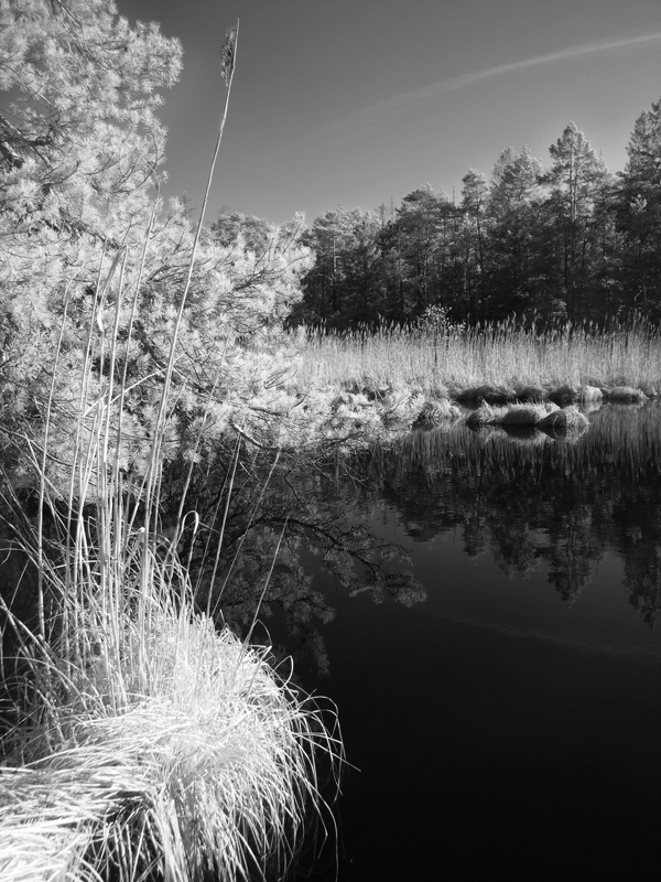 Entenweiher