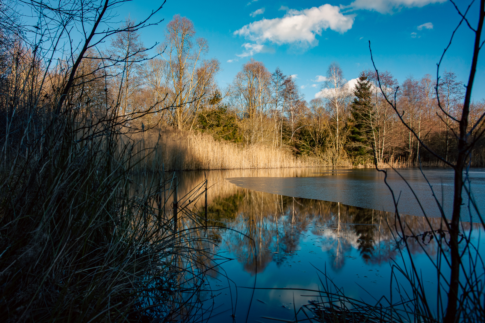 Entenweiher im Winter