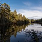 Entenweiher Rottmoos