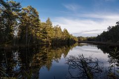 Entenweiher Rottmoos