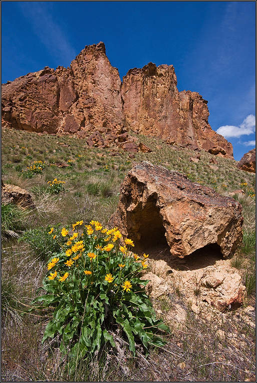 Entering Leslie Gulch