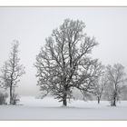 entfärbte Landschaft