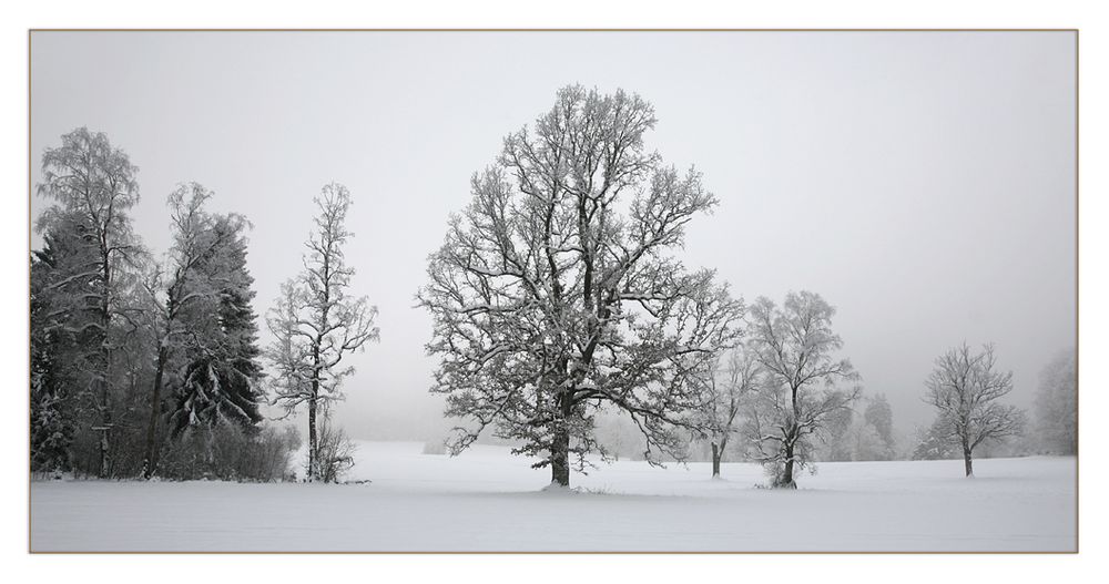 entfärbte Landschaft