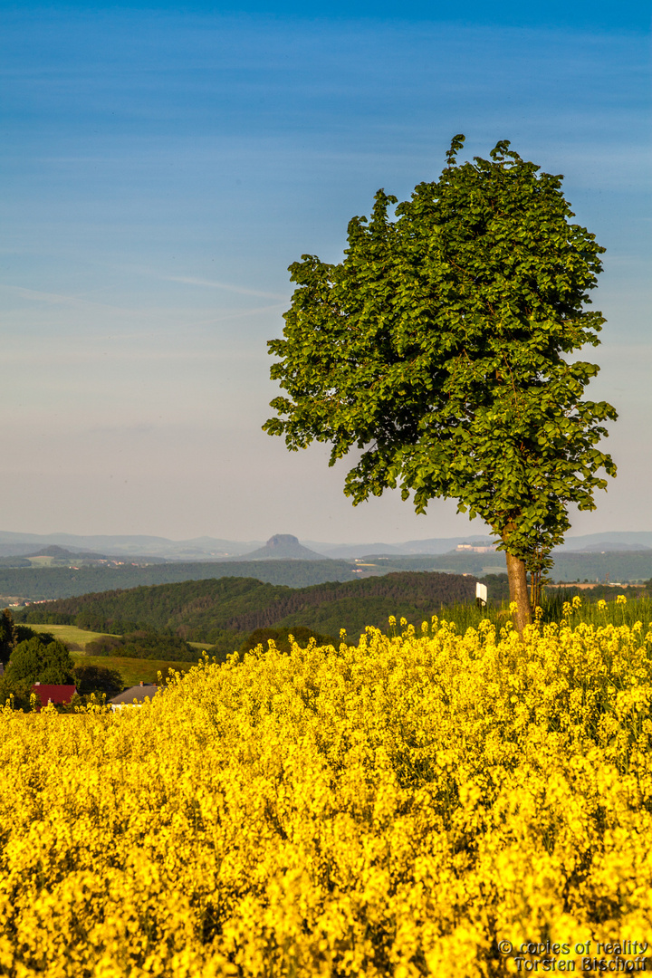 Entfernte Sächsische Schweiz