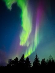 Skandinavien