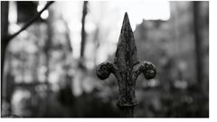 entgegen 