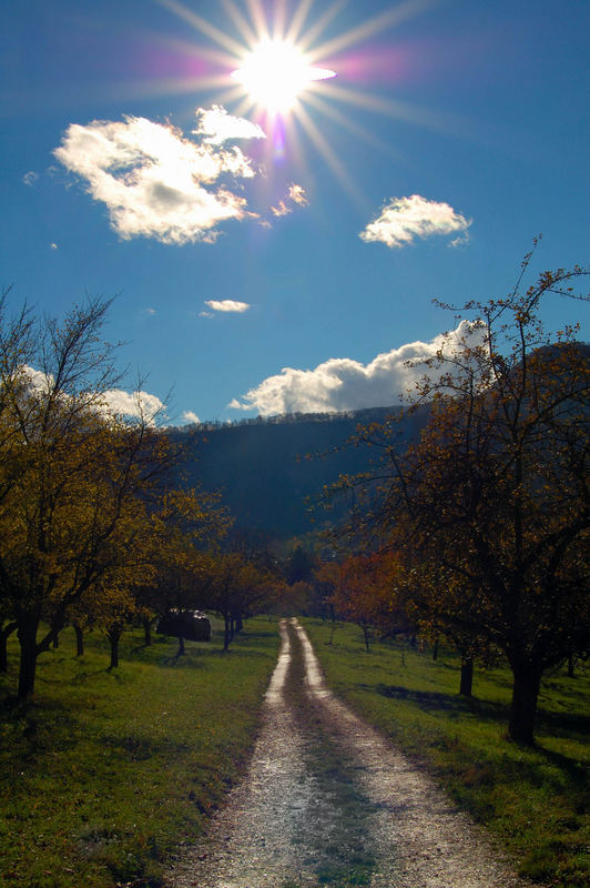 Entgegen der Sonne