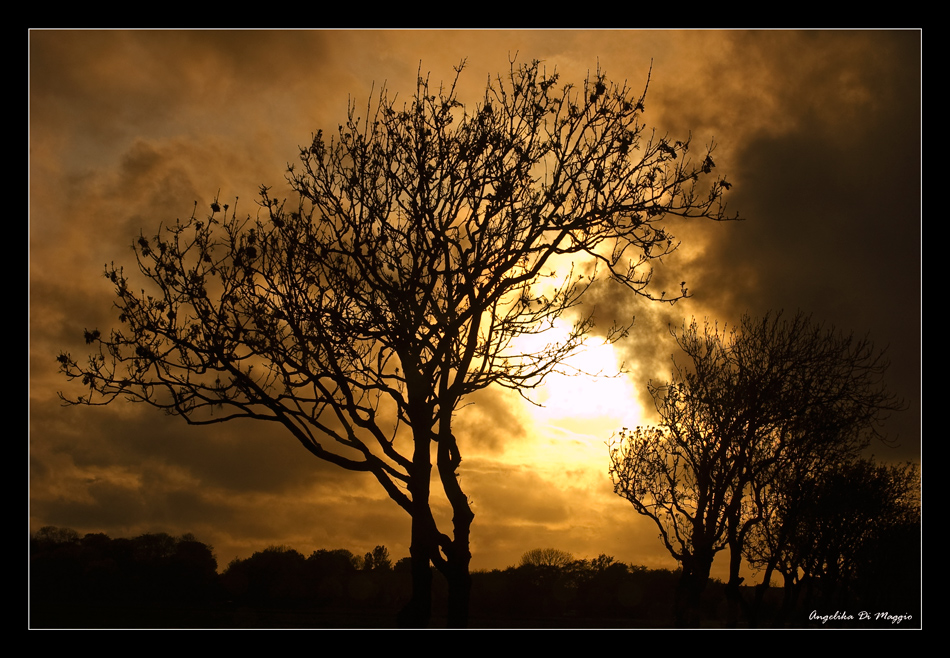 Entgegen der Sonne