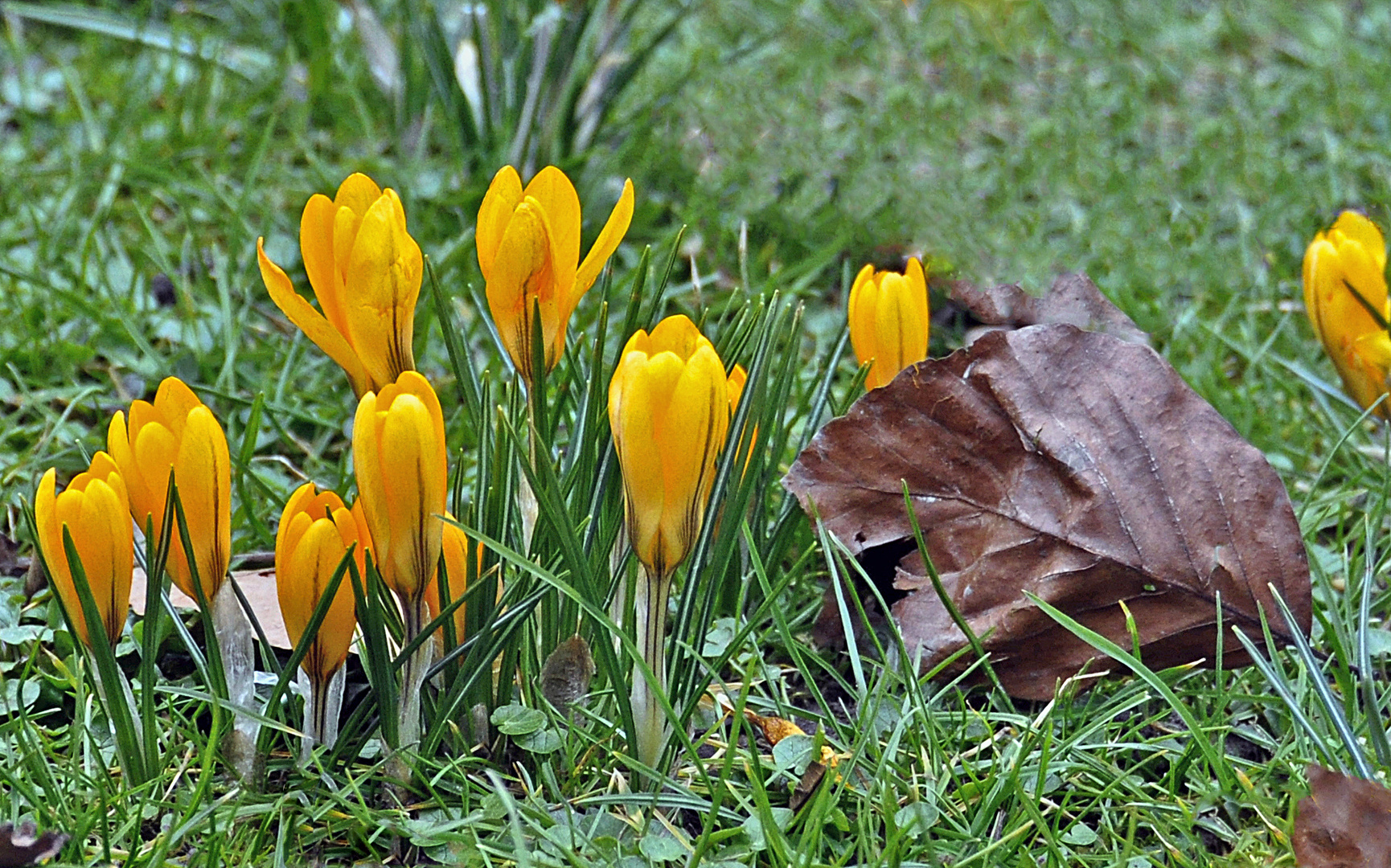 Enthüllungen im Lantz'schen Park ;-))