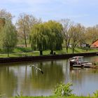 Entlang am alten Neckar