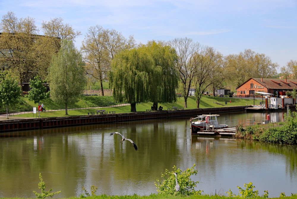 Entlang am alten Neckar