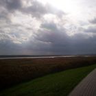 entlang am Barther Bodden......