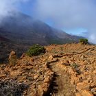 Entlang am Teide