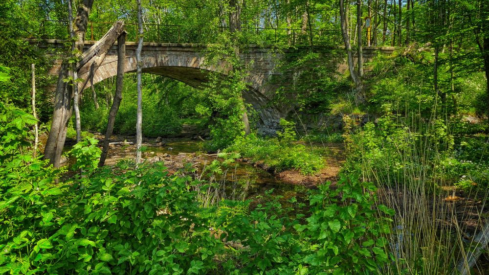 Entlang dem Grenzwanderweg I