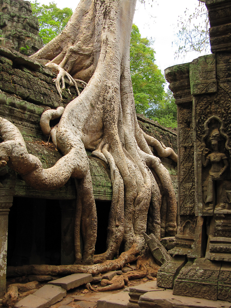 Entlang dem Mekong von Laos nach Kambodscha, Kambodscha 2