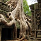 Entlang dem Mekong von Laos nach Kambodscha, Kambodscha 2