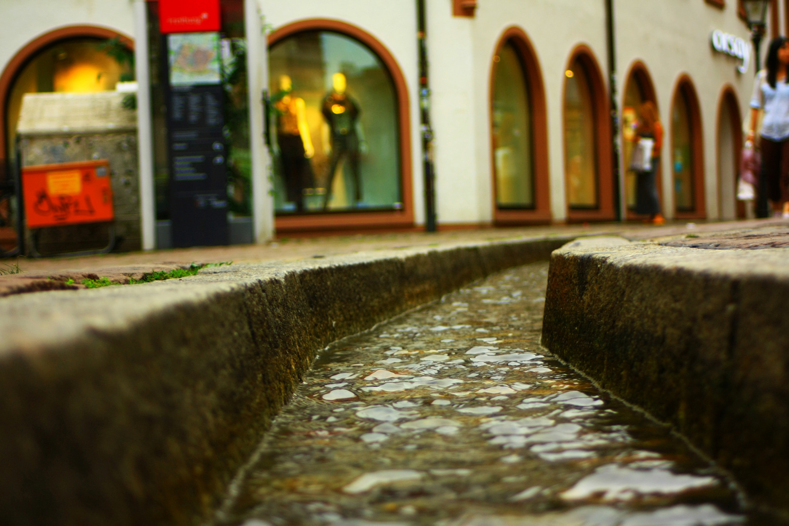 Entlang der Bächle in der Freiburger Altstadt ...