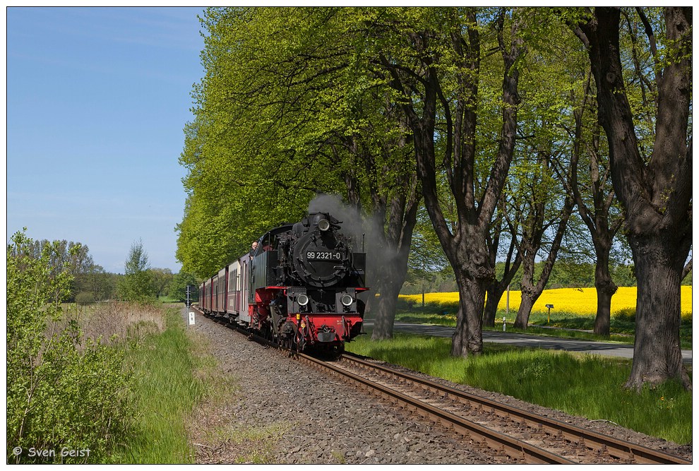 Entlang der Baumallee vor Bad Doberan