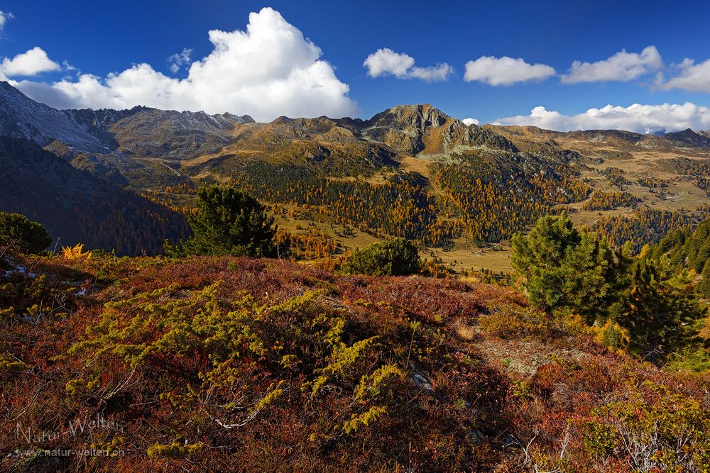 Entlang der Bisse de Chervé