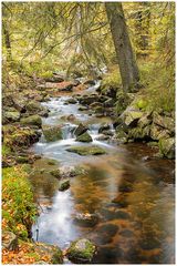 Entlang der Bode/Harz