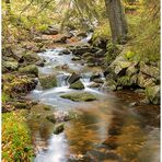 Entlang der Bode/Harz