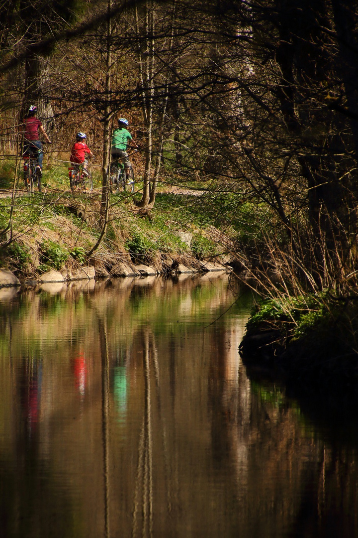 entlang der Brigach