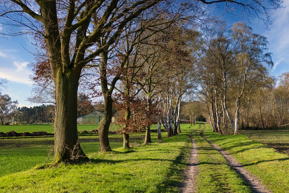 Entlang der Felder, Wiesen und Bäume