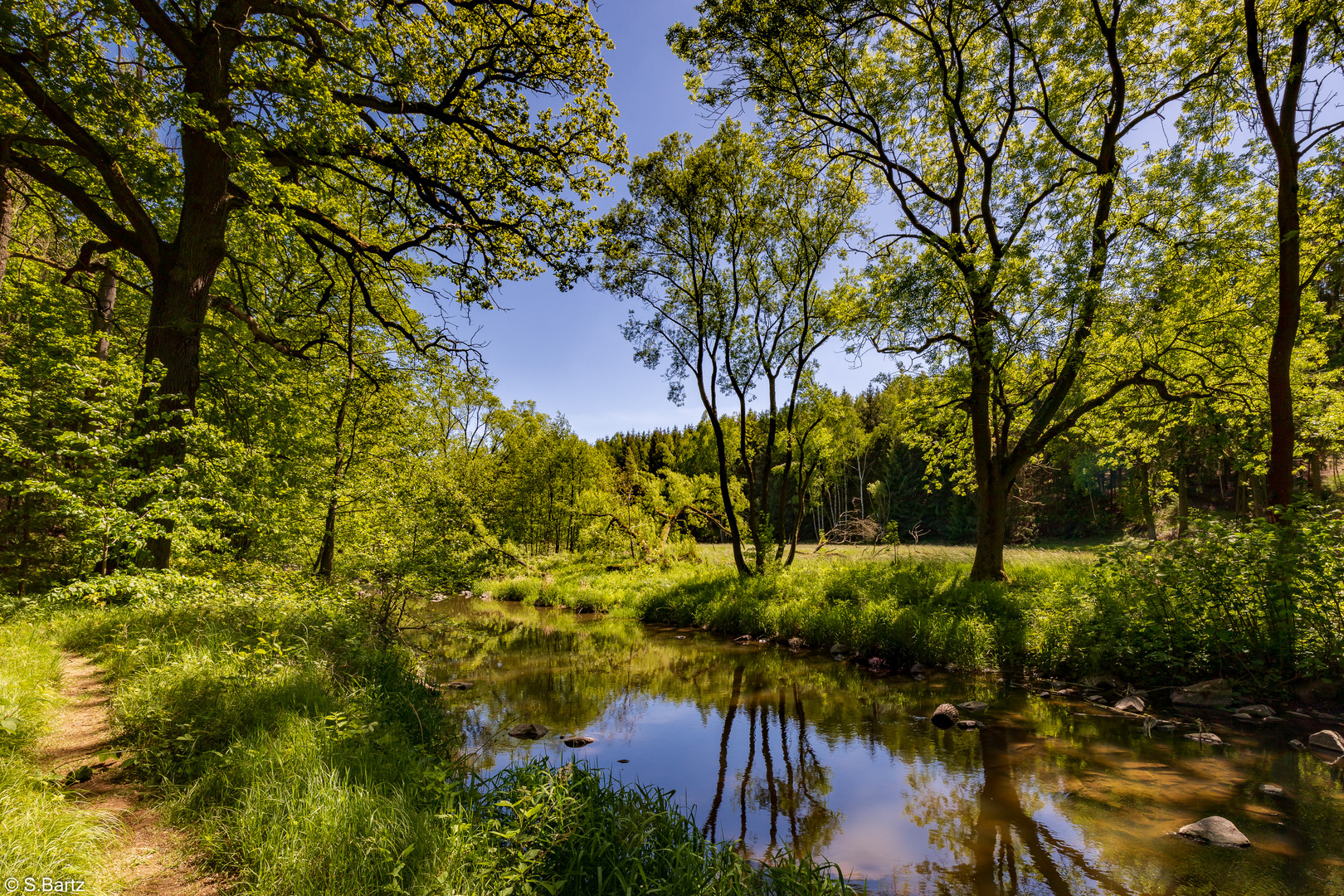 Entlang der Grabentour - (35)