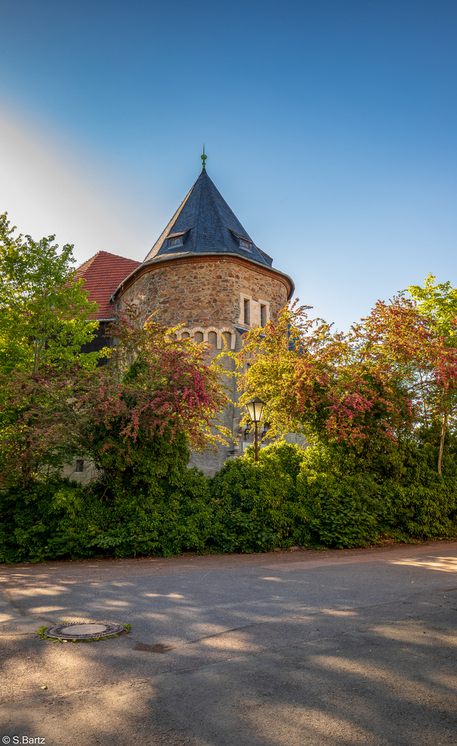 Entlang der Grabentour (65) - Schloss Reinsberg (10)