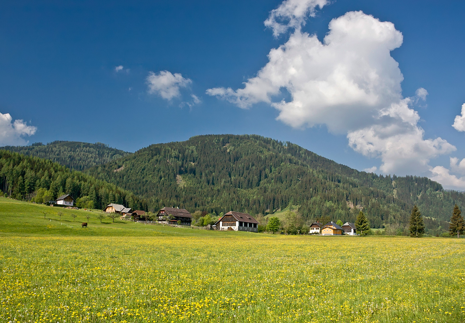 Entlang der Holzstraße