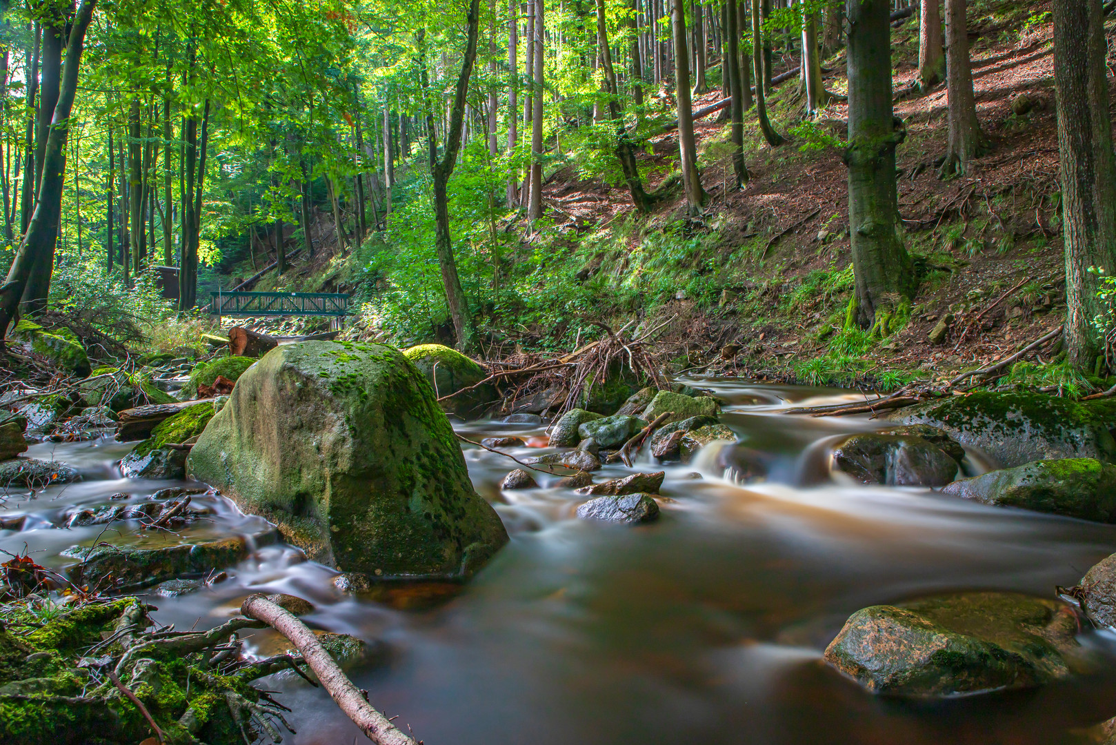 Entlang der Ilse Foto & Bild landschaft, jahreszeiten, fotos Bilder