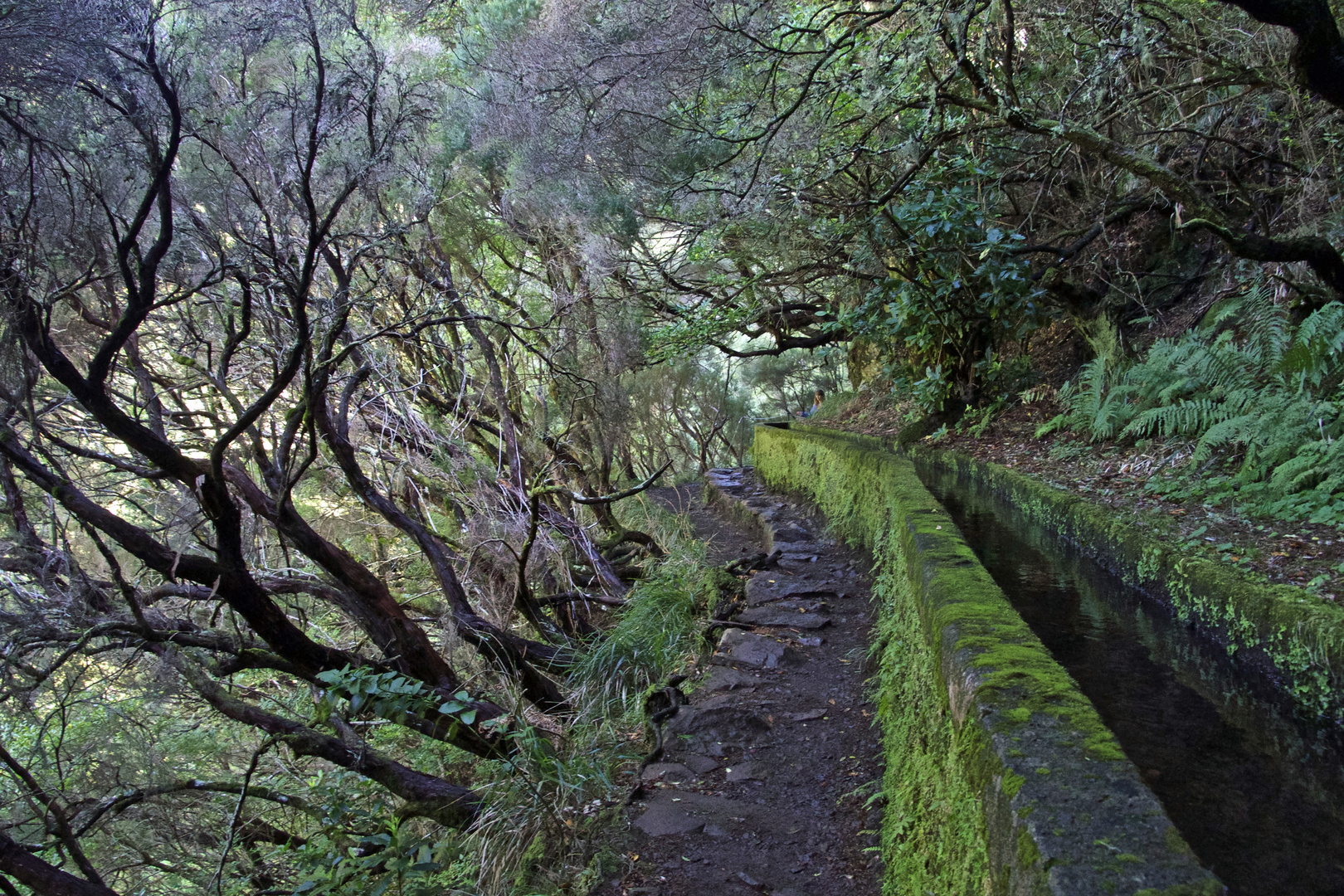 …entlang der Levada...