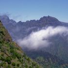 Entlang der Levada