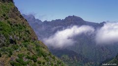 Entlang der Levada