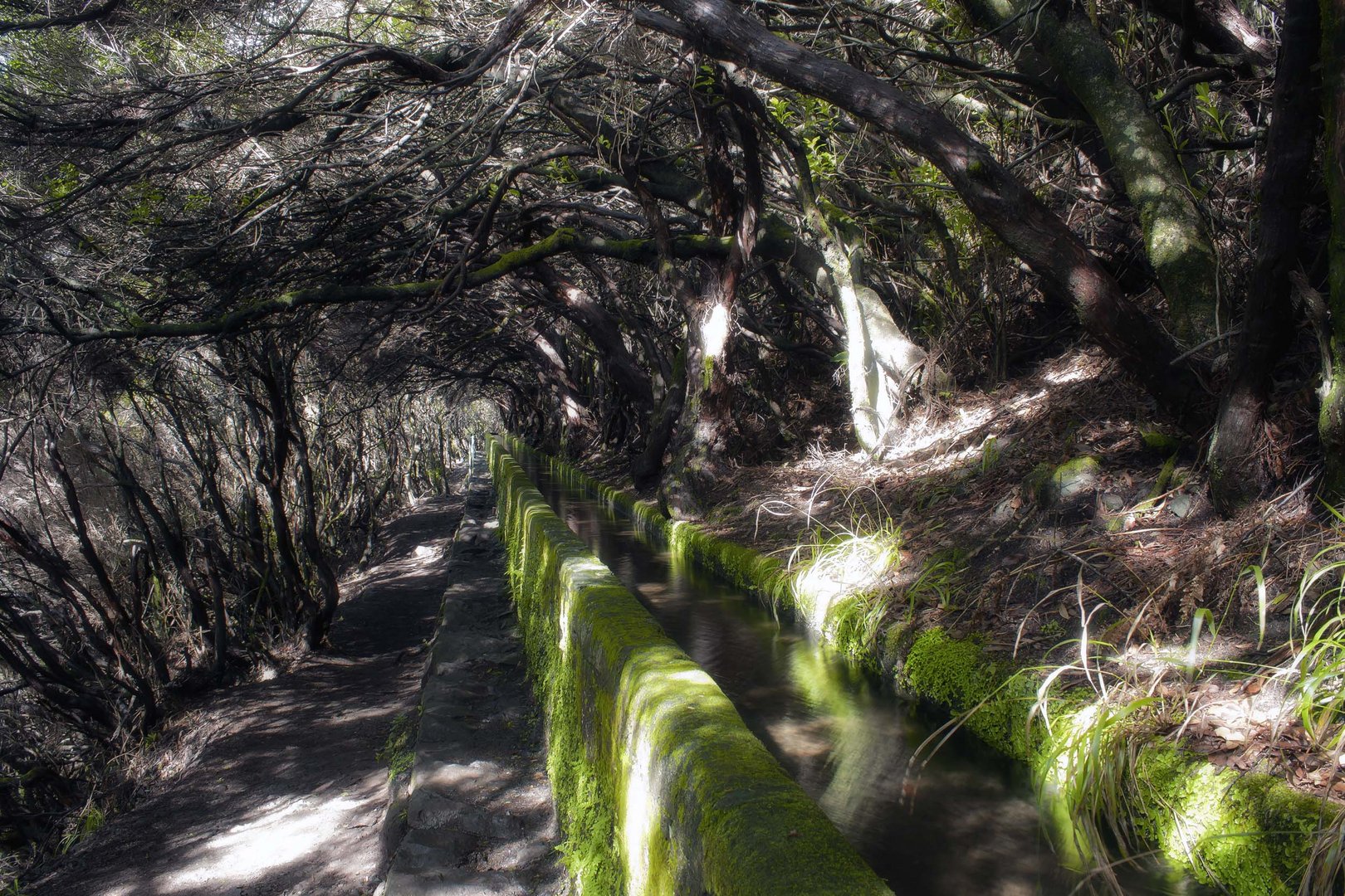 Entlang der Levada