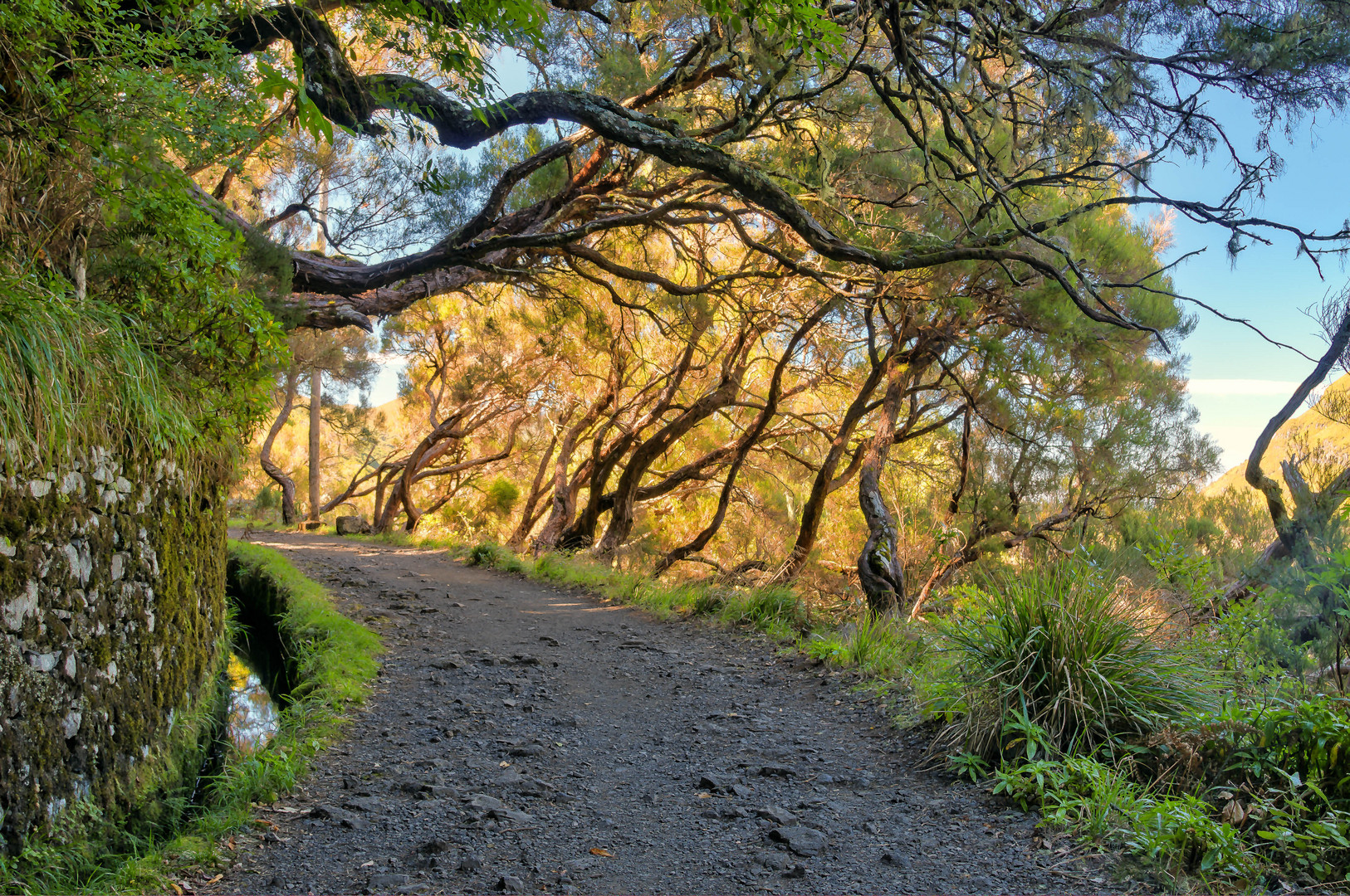 entlang der Levada