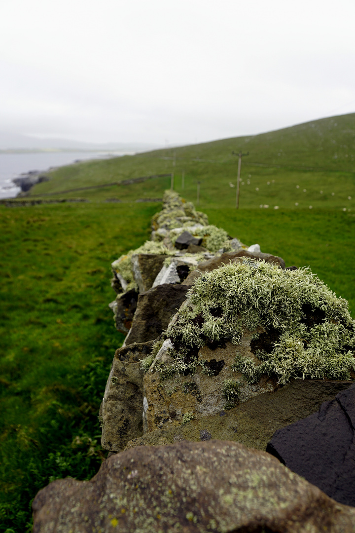 Entlang der Mauer