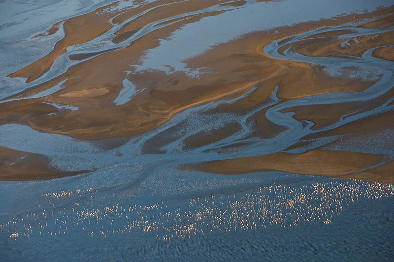 Entlang der Namib findet man immer Schwärme von Flamingos