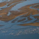 Entlang der Namib findet man immer Schwärme von Flamingos