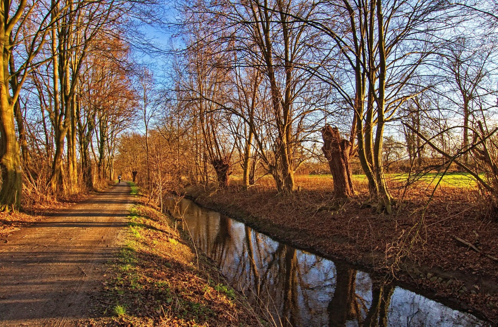 Entlang der Rosenaue 