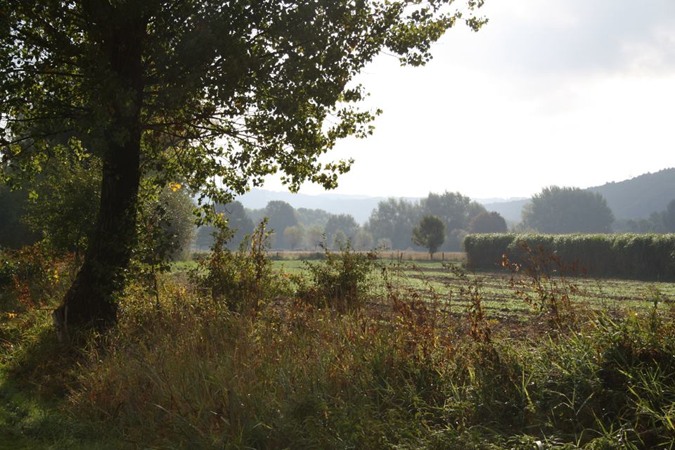 Entlang der Ruhr im Herbst