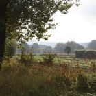 Entlang der Ruhr im Herbst