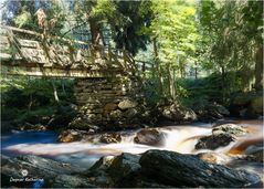 Entlang der Rur -Eifel