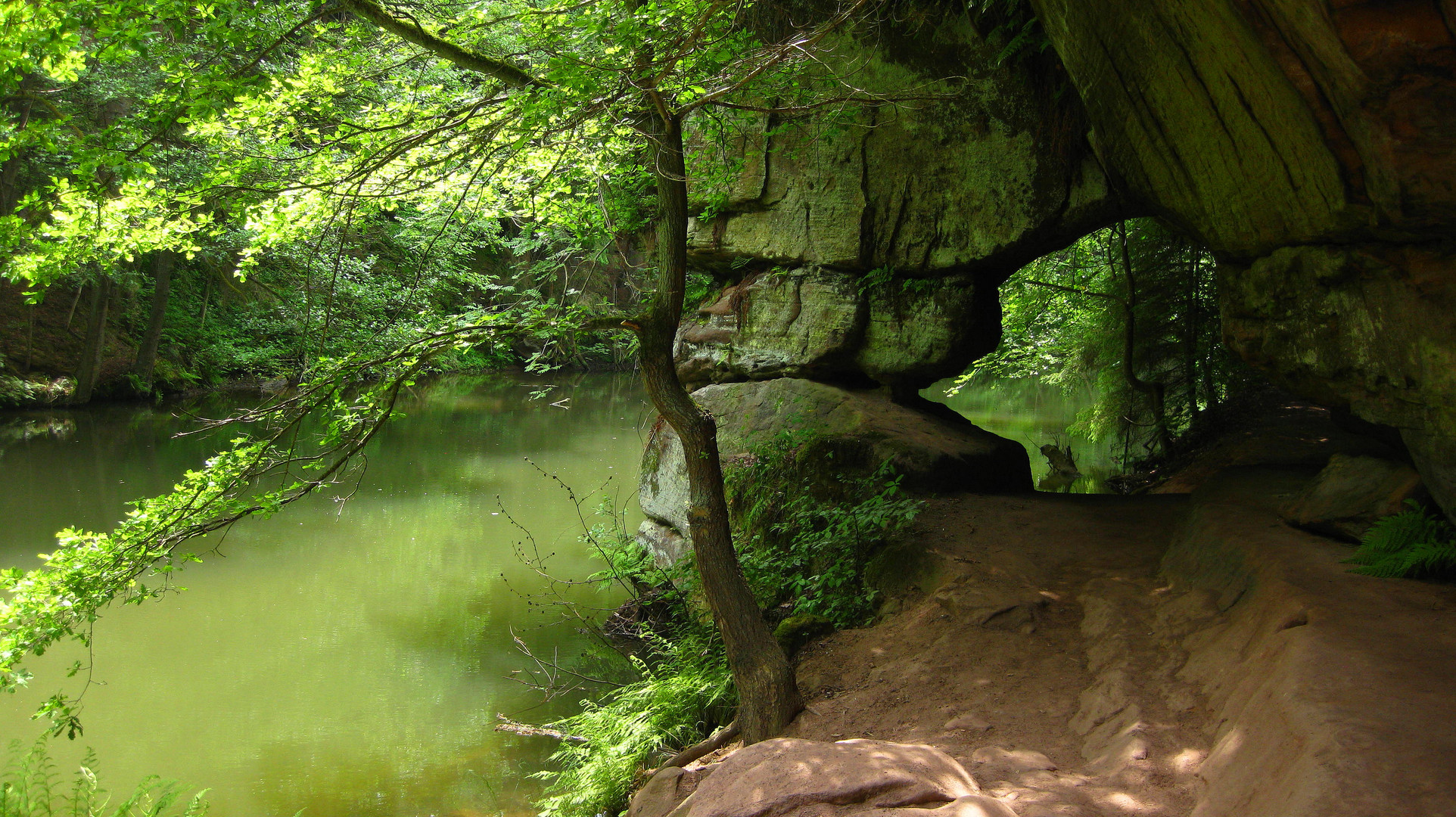 Entlang der Schwarzach