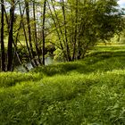 Entlang der Schwarzen Laber