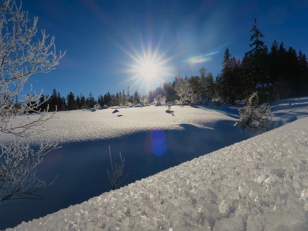 entlang der Skipiste...