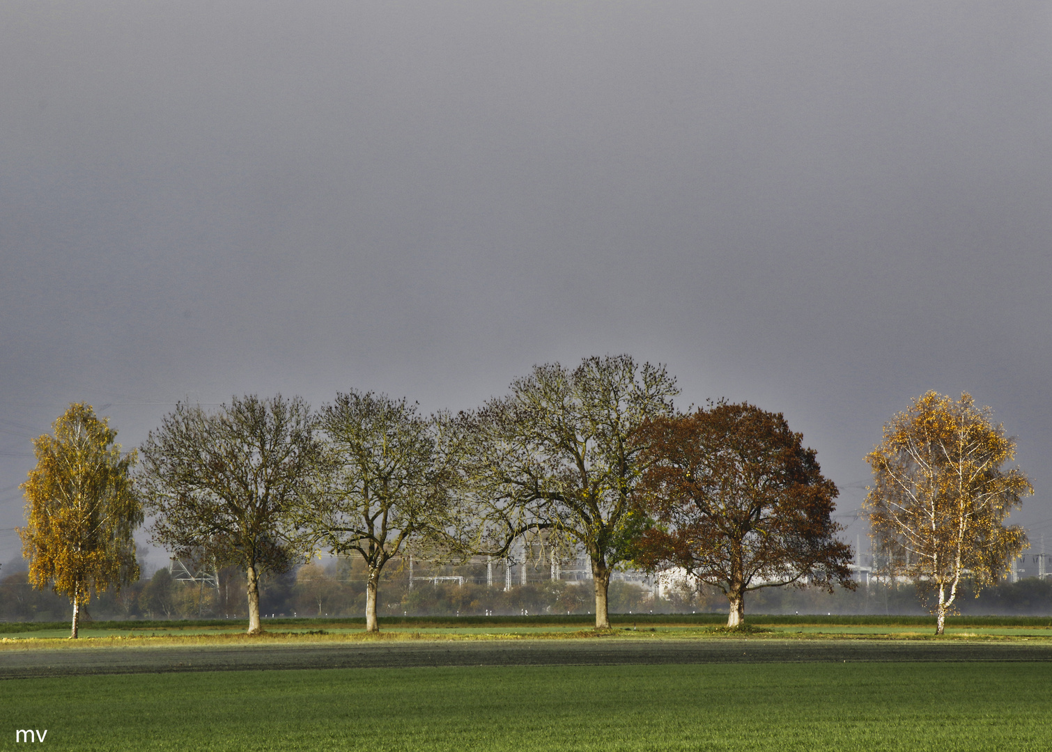 entlang der Stadtgrenze